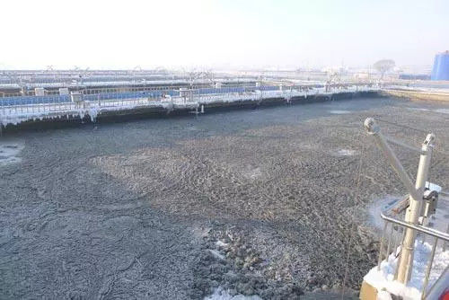 K1 25X10mm MBBR बायो मीडिया औद्योगिक अपशिष्ट जल उपचार 3
